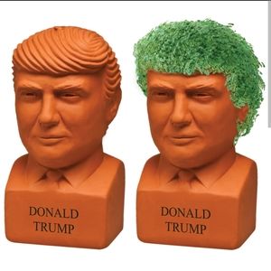 Gag gift Trump Chia Pet - Brand New